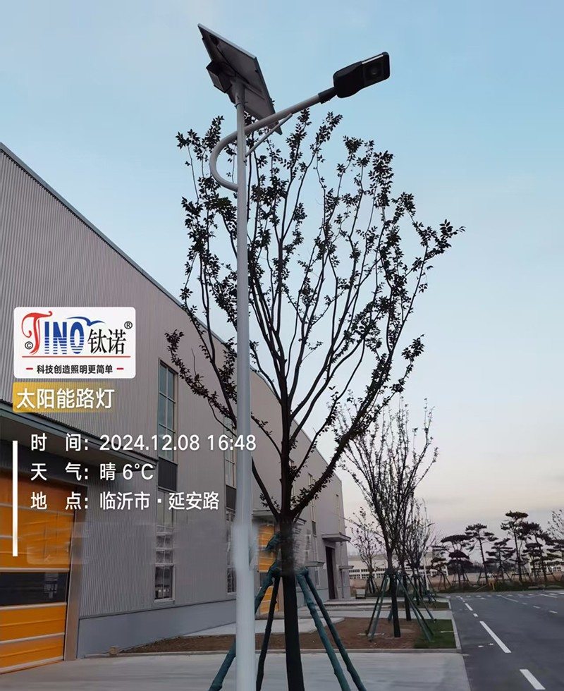 道路照明